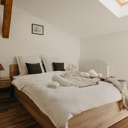 Holiday Apartments Central 티미쇼아라 외부 사진
