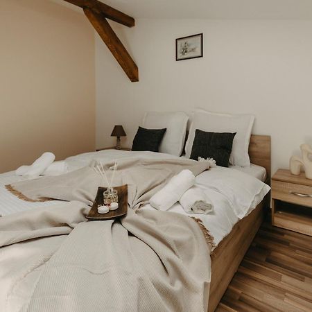 Holiday Apartments Central 티미쇼아라 외부 사진