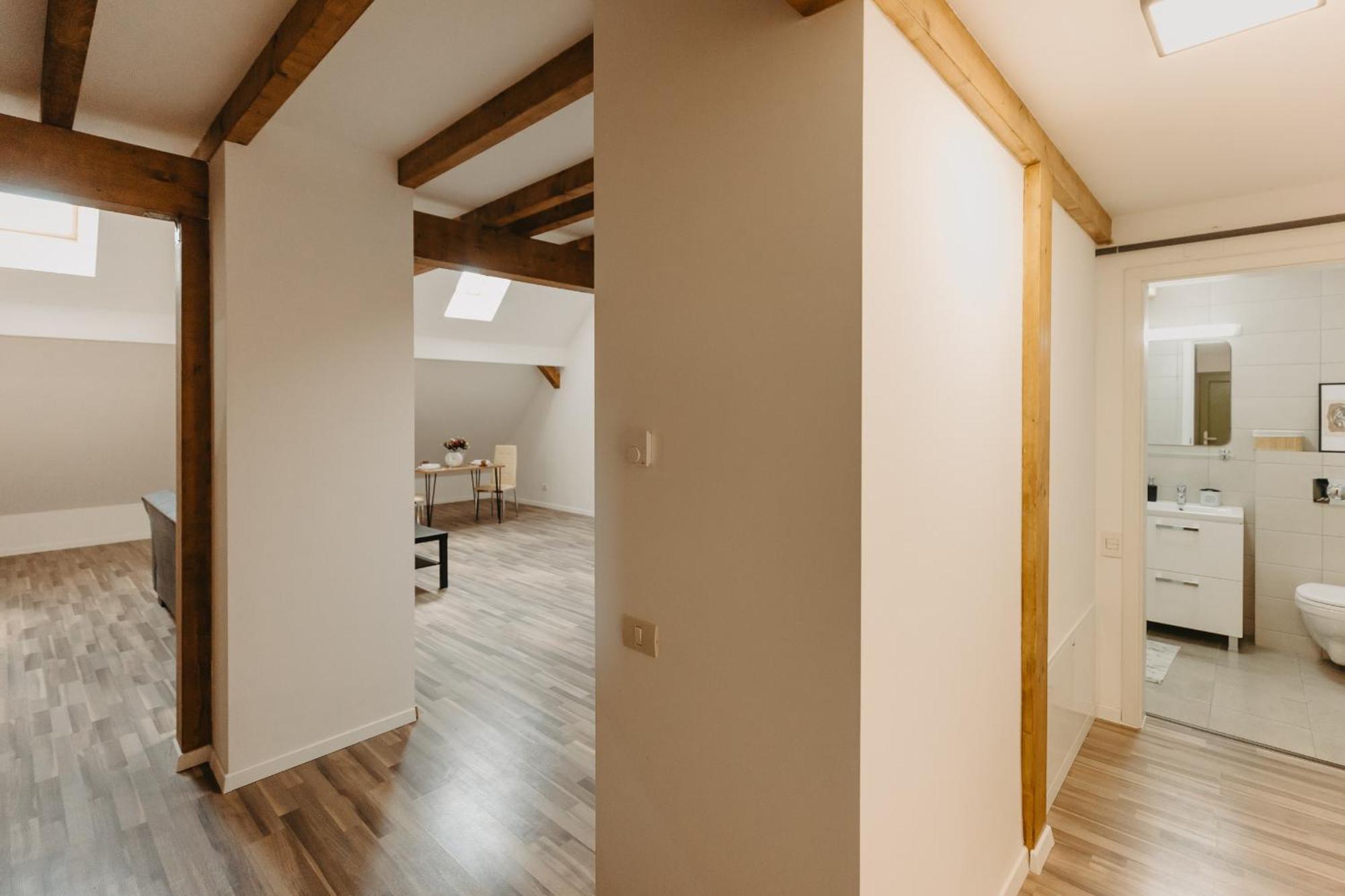 Holiday Apartments Central 티미쇼아라 외부 사진