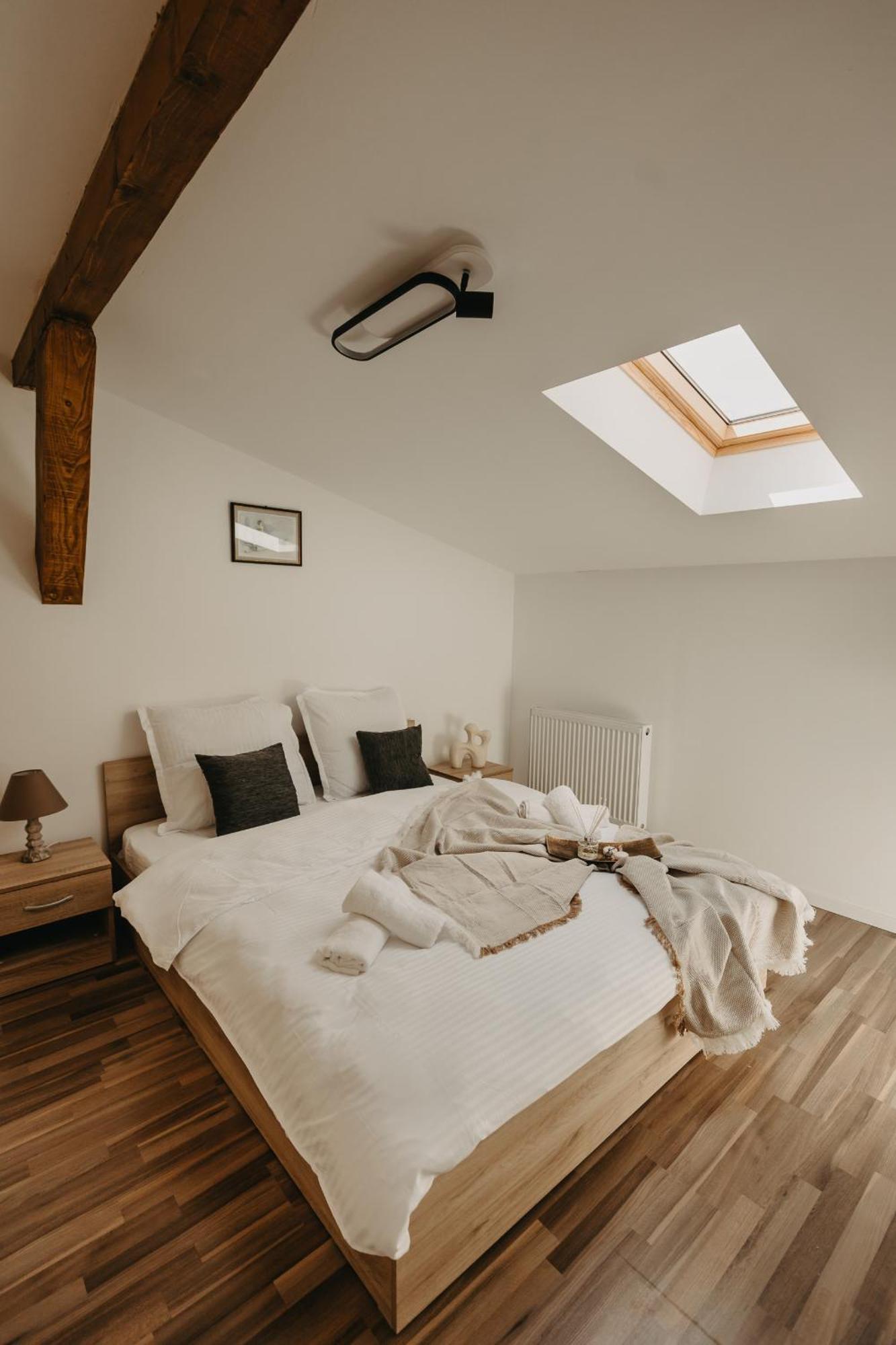 Holiday Apartments Central 티미쇼아라 외부 사진
